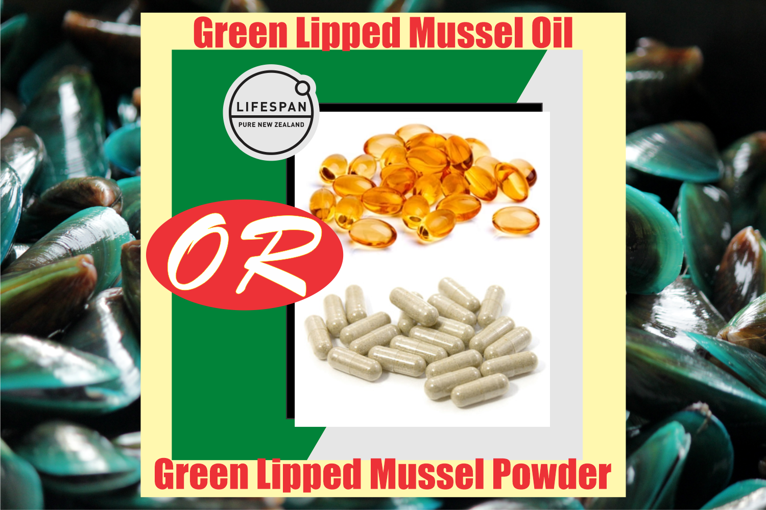 Green Lipped Mussel Oil vs Green Lipped Mussel Powder